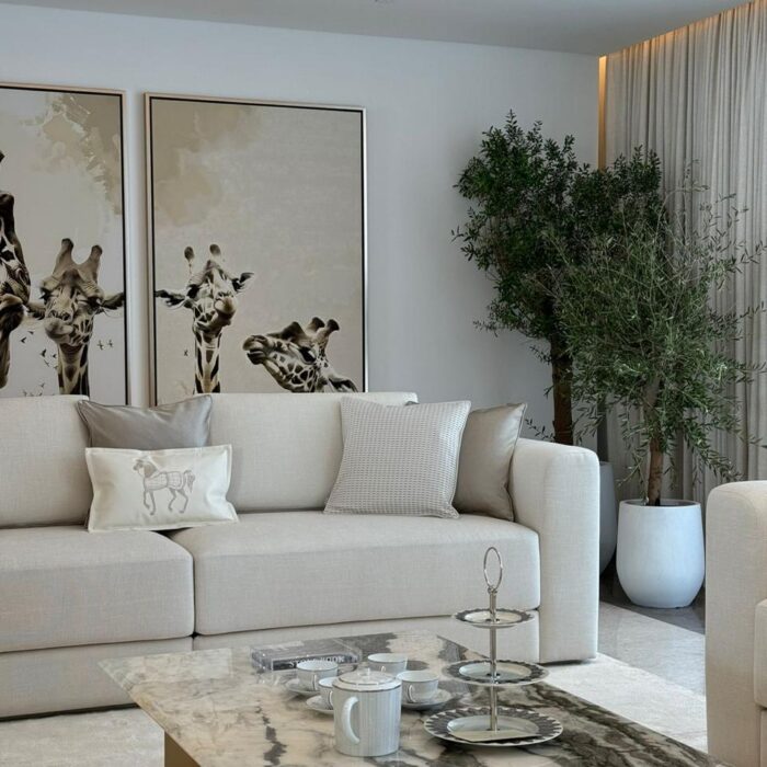 Furniture photo from the design shop